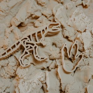 Grennn - uitsteker dino